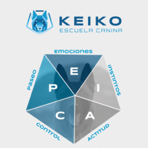 Curso educación canina- Aprende a educar a tu perro con el Método E.P.I.C.A.