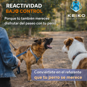 Reactividad bajo control