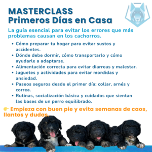 Masterclass Primeros DÃas en Casa